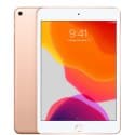 iPad Mini 5 (2019, 5th Gen)