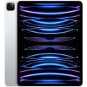 iPad Pro 12.9 (2022, 6th Gen)