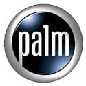 Palm
