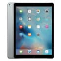 iPad Pro 12.9 (2015, 1st Gen)