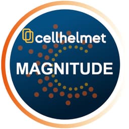 Magnitude
