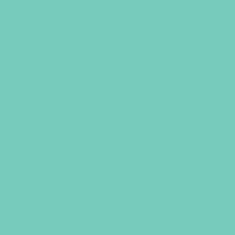ProtectionPro Small Spectrum Film (Mint Matte)