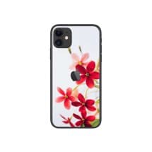 Axiom Armor ScreenFilm Small Back Skin (Red Dogwood)