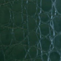 ProtectionPro Small Texture Film (Fir Green Alligator)