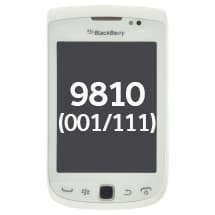 LCD Assembly for BlackBerry Torch 9810 (001/111, White)