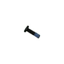 Top Screen Screw for Motorola RAZR (2023) & RAZR 40 [Genuine OEM]